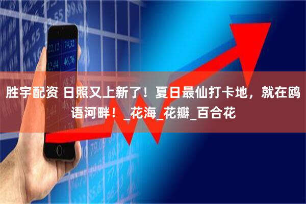 胜宇配资 日照又上新了！夏日最仙打卡地，就在鸥语河畔！_花海_花瓣_百合花