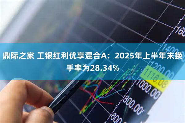 鼎际之家 工银红利优享混合A：2025年上半年末换手率为28.34%