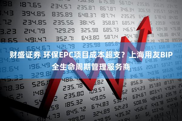 财盛证券 环保EPC项目成本超支？上海用友BIP全生命周期管理服务商