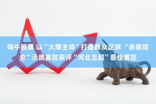 嗨牛股票 以“火爆主场”打造群众足球 “承德现象”承德赛区获评“河北五超”最佳赛区